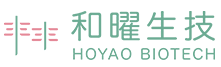 和曜